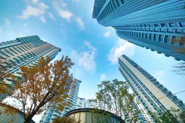 1556268320912.jpg a3.jpg