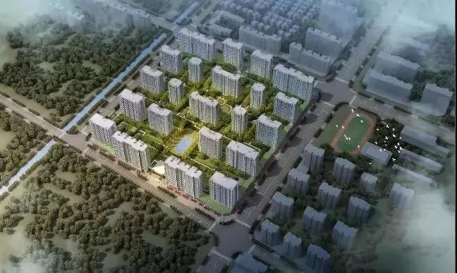 1556268340636.jpg a5.jpg