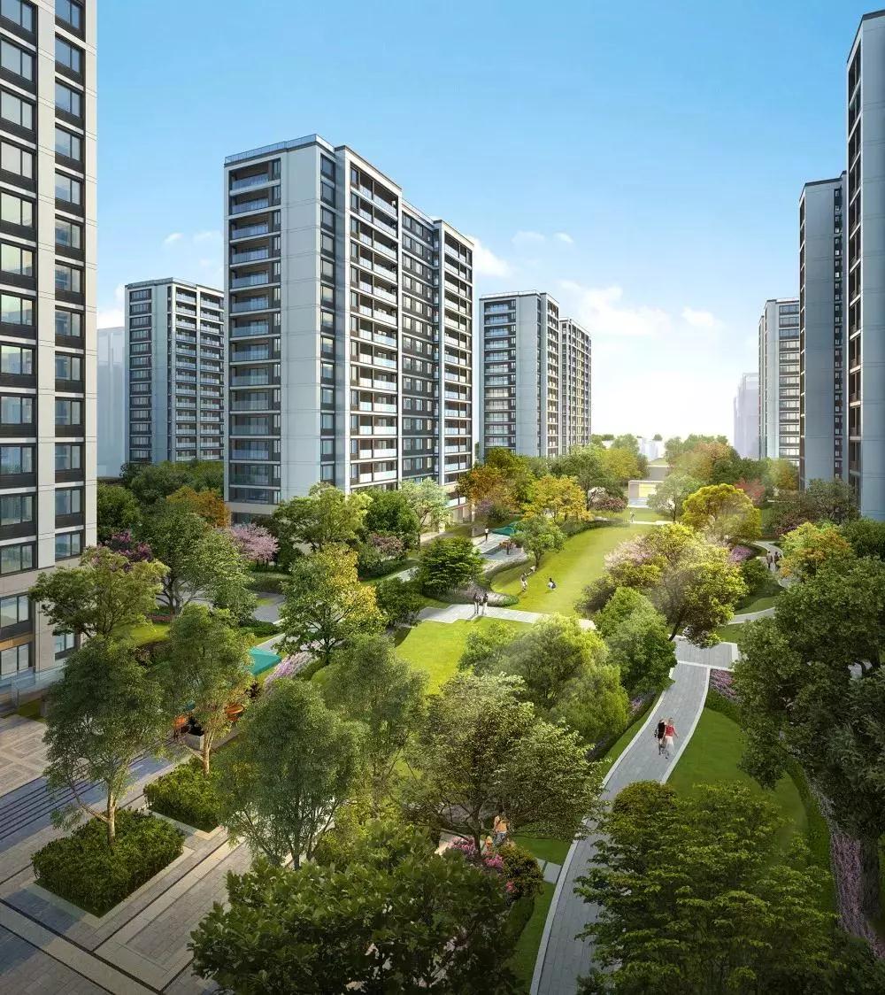 1556268365409.jpg a7.jpg