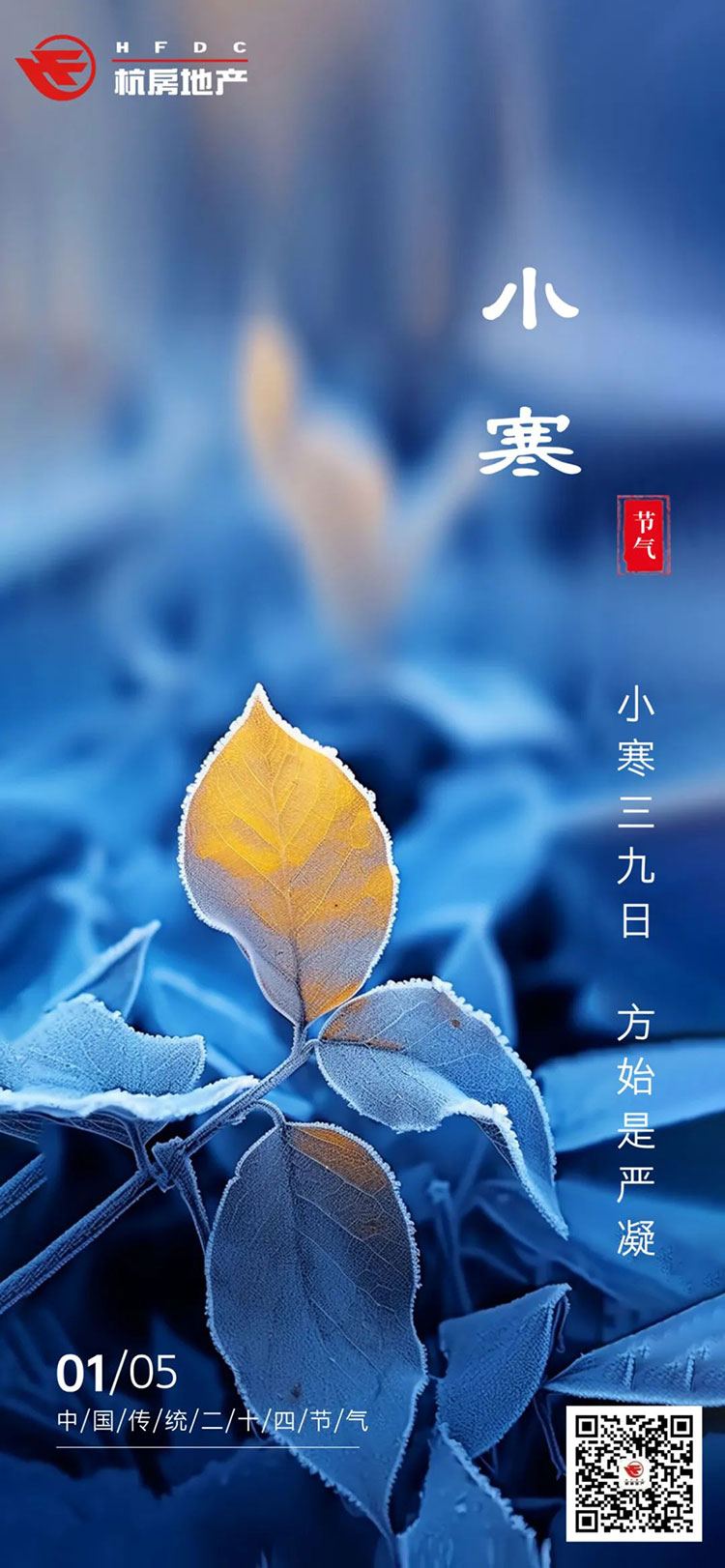 小寒x.jpg